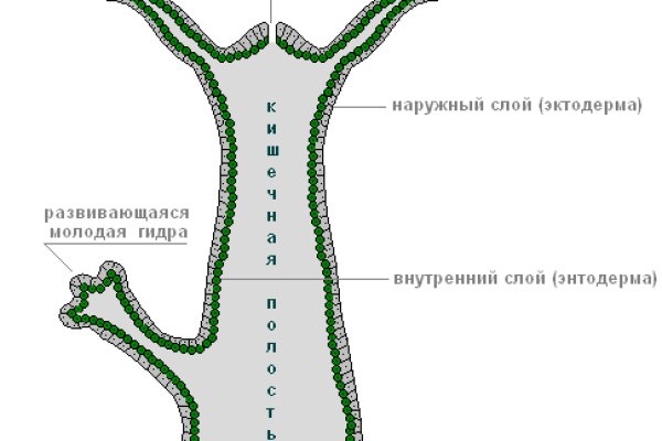 Что такое кракен только через тор