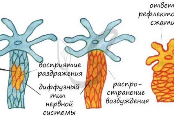 Зайти кракен через тор