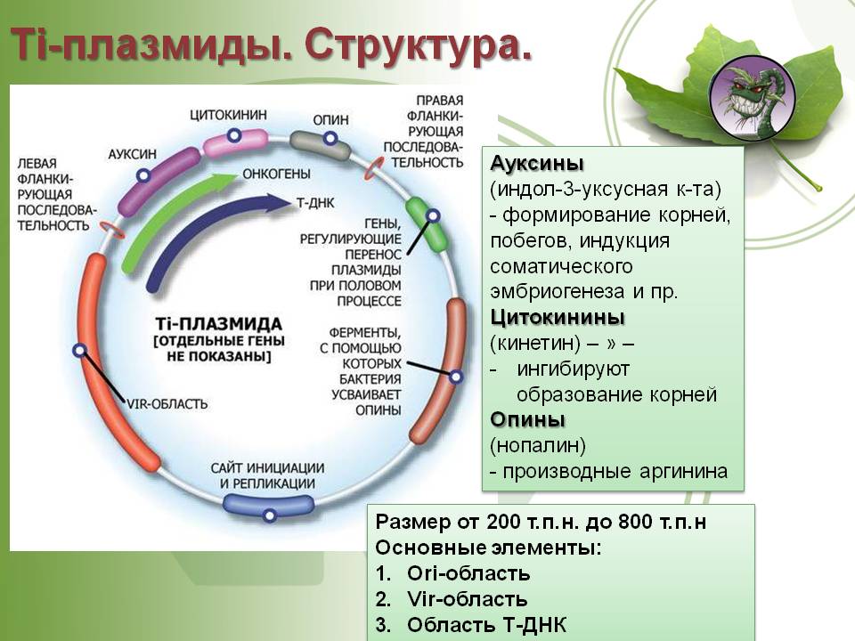 Сайт наркотиков купить