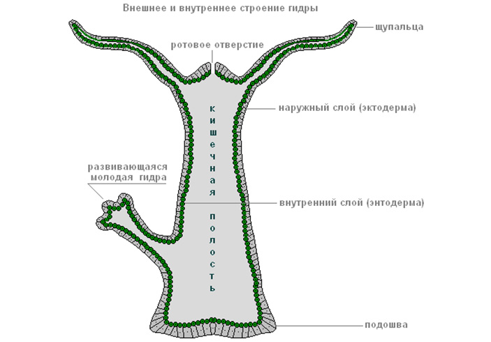 Дарк маркетплейс кракен