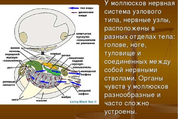 Кракен даркнет войти